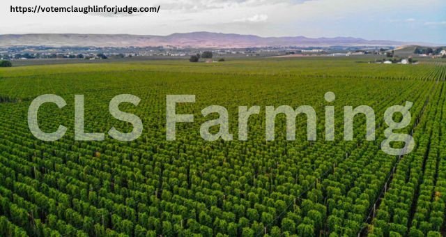 CLS Farming: Enhance Your Productivity