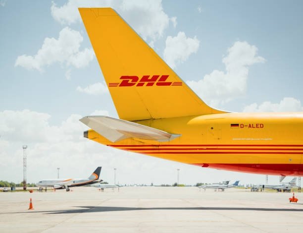Navigating the Complex World of Customs Clearance in New Zealand