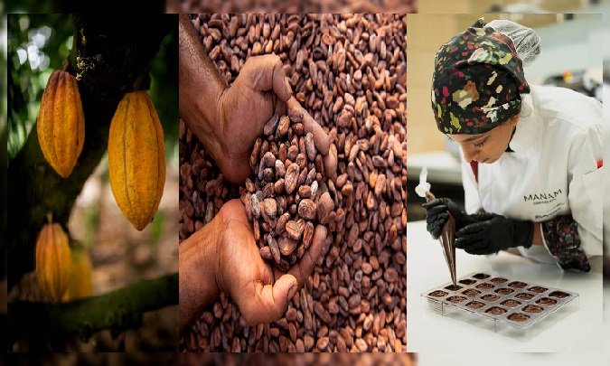 Unlocking Culinary Delights: Exploring the World of Artisanal Chocolate